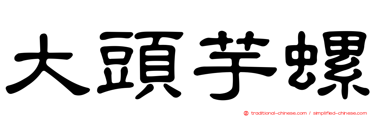 大頭芋螺
