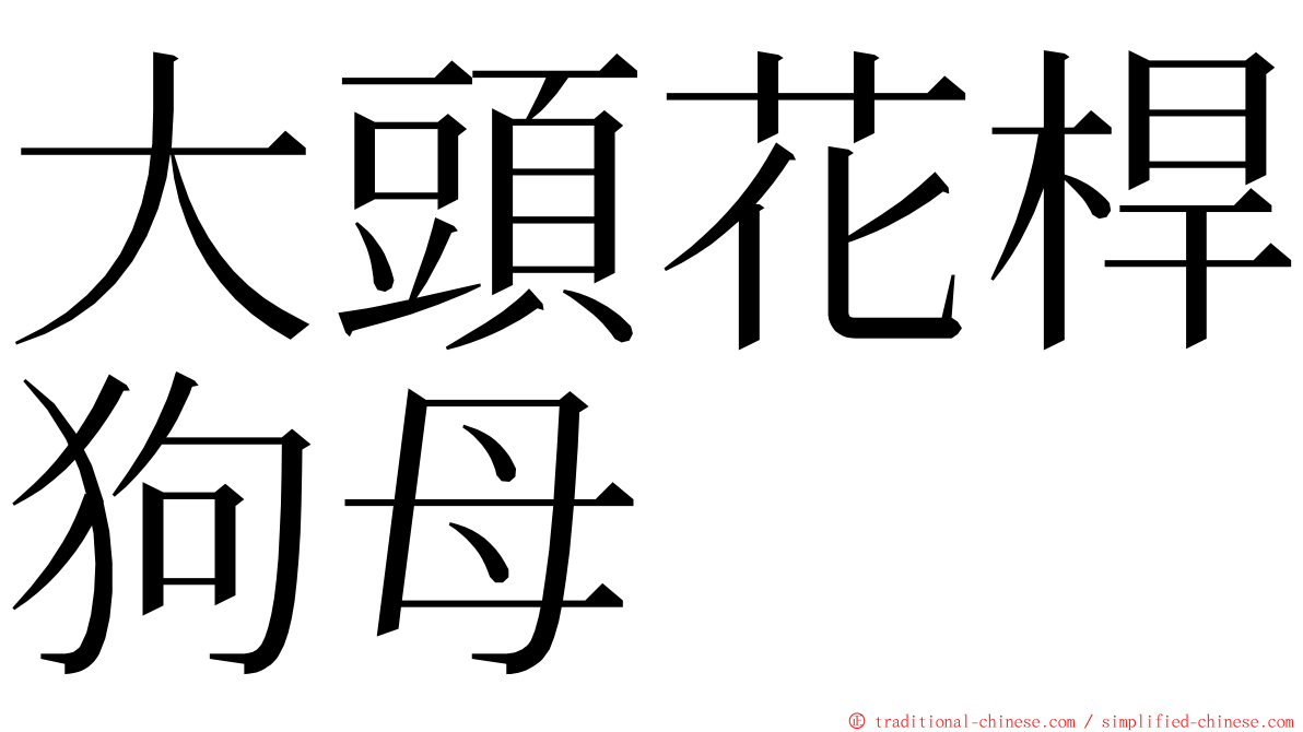 大頭花桿狗母 ming font