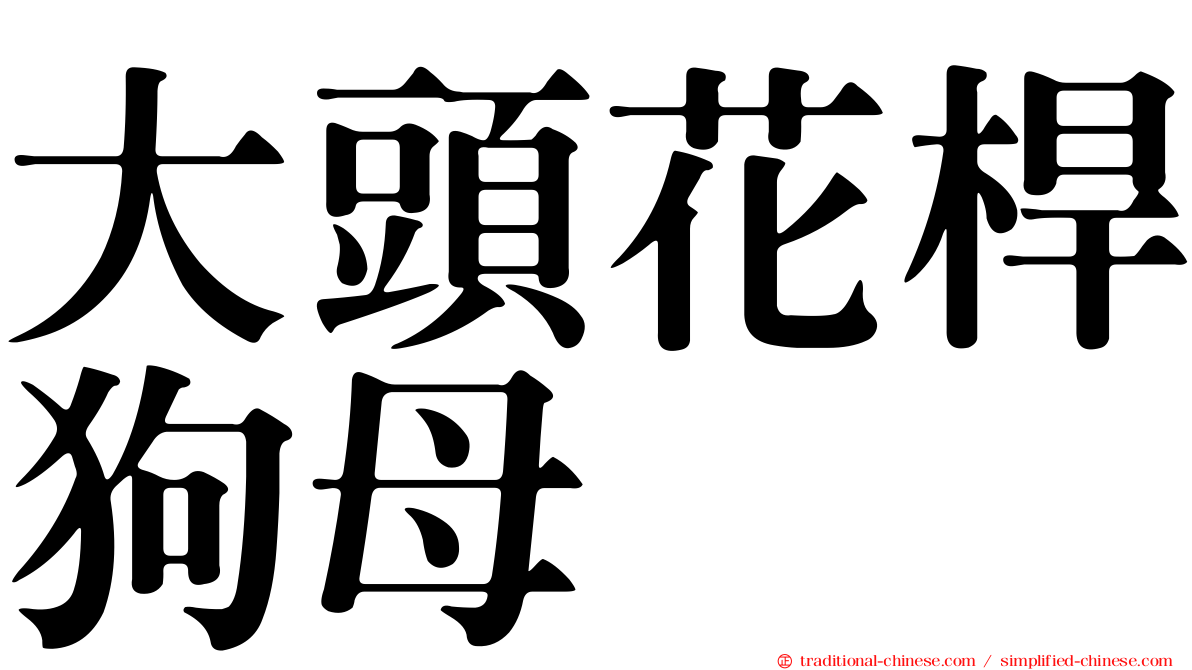 大頭花桿狗母
