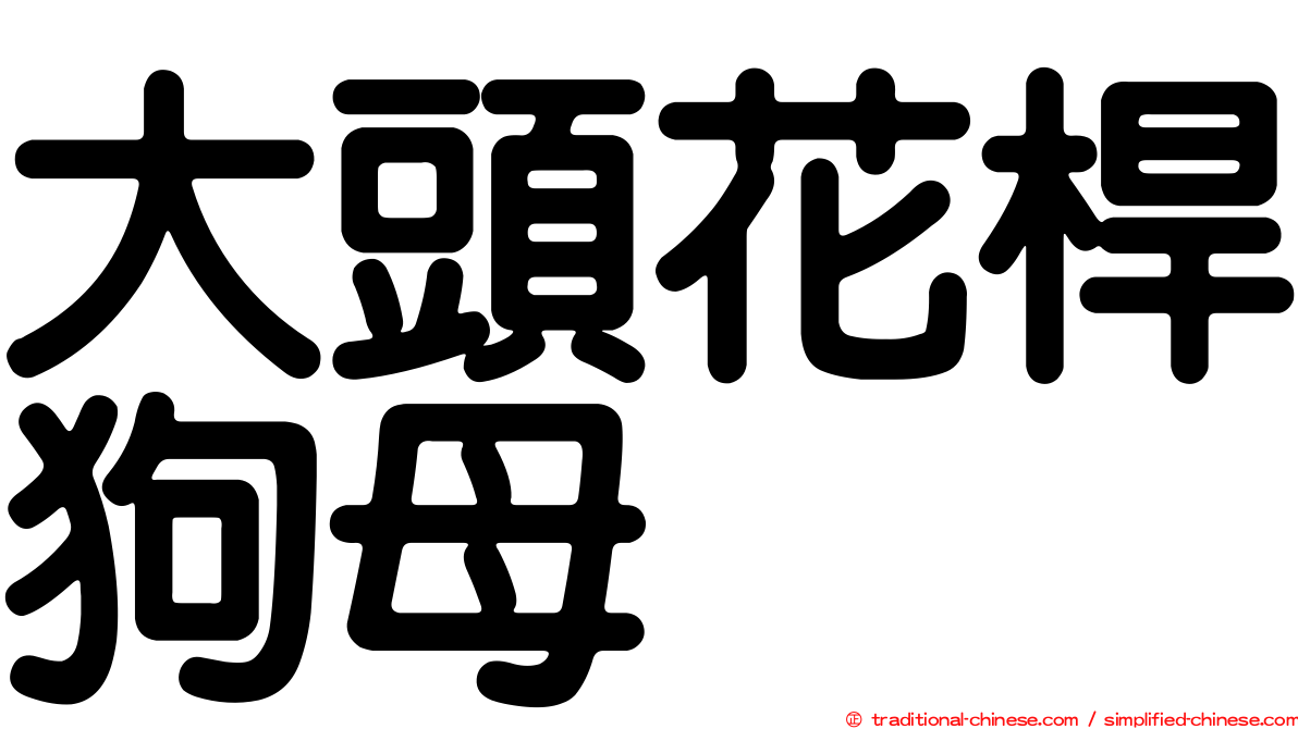 大頭花桿狗母