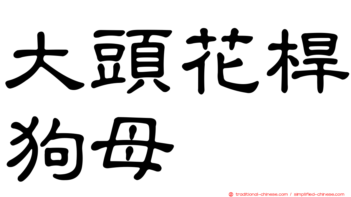 大頭花桿狗母