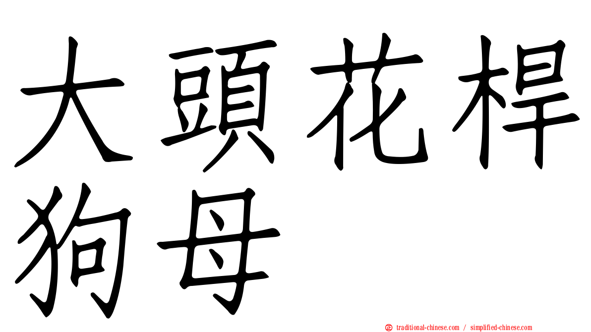 大頭花桿狗母