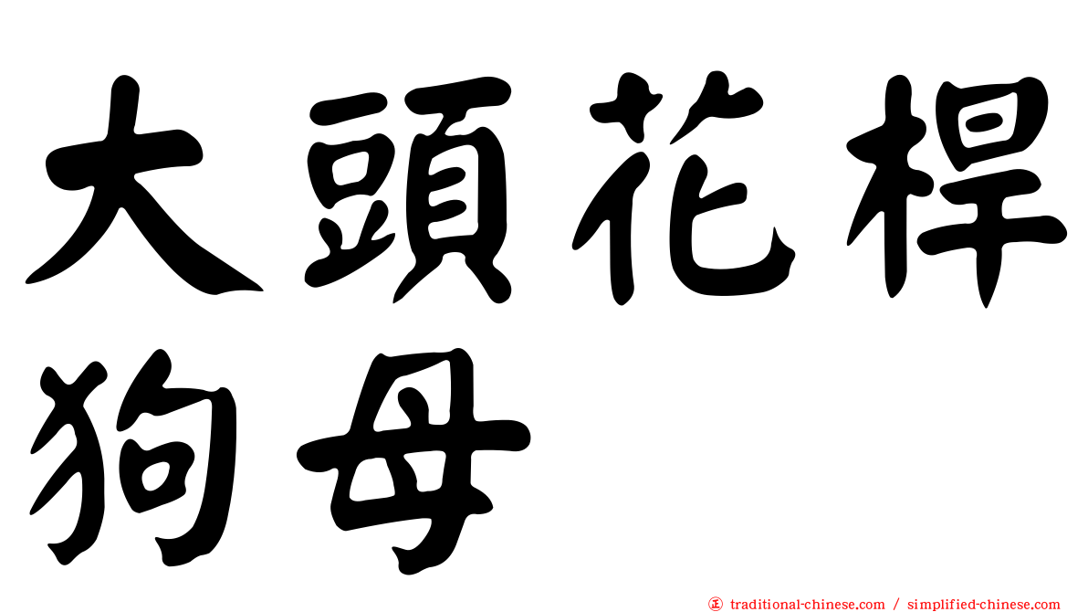 大頭花桿狗母