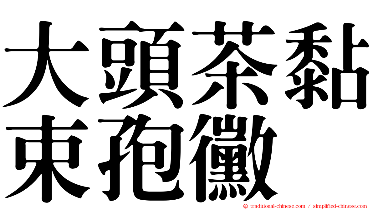 大頭茶黏束孢黴