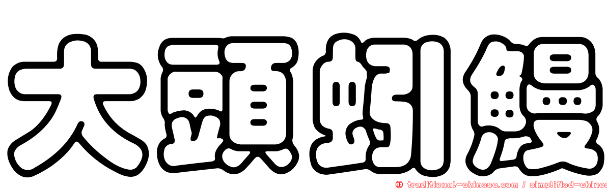 大頭蚓鰻