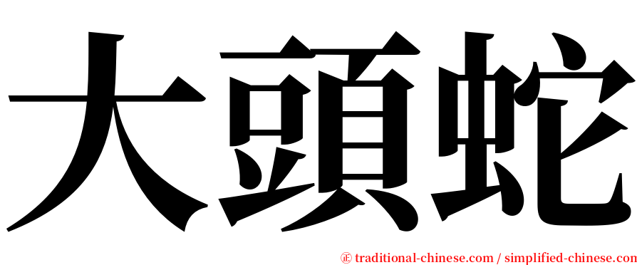 大頭蛇 serif font