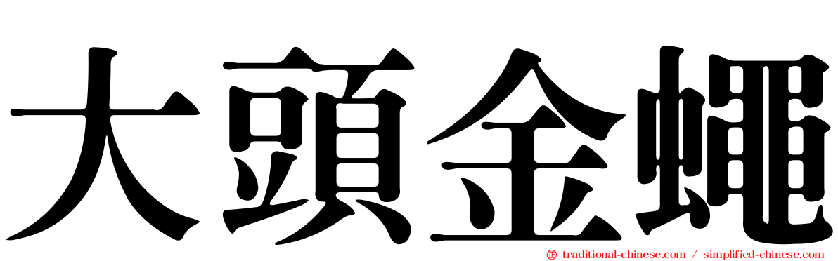 大頭金蠅