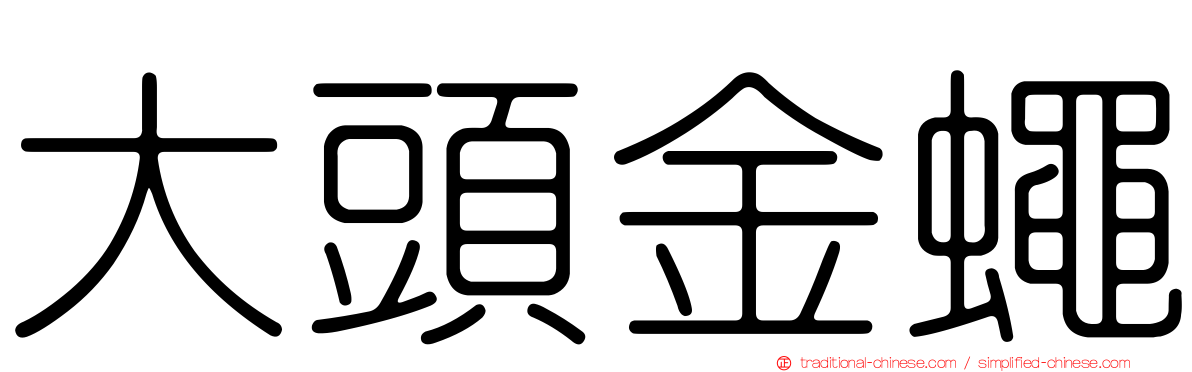 大頭金蠅