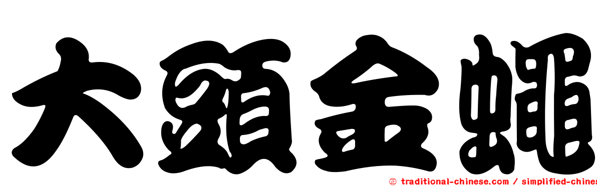 大頭金蠅