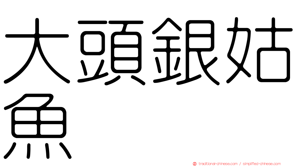 大頭銀姑魚