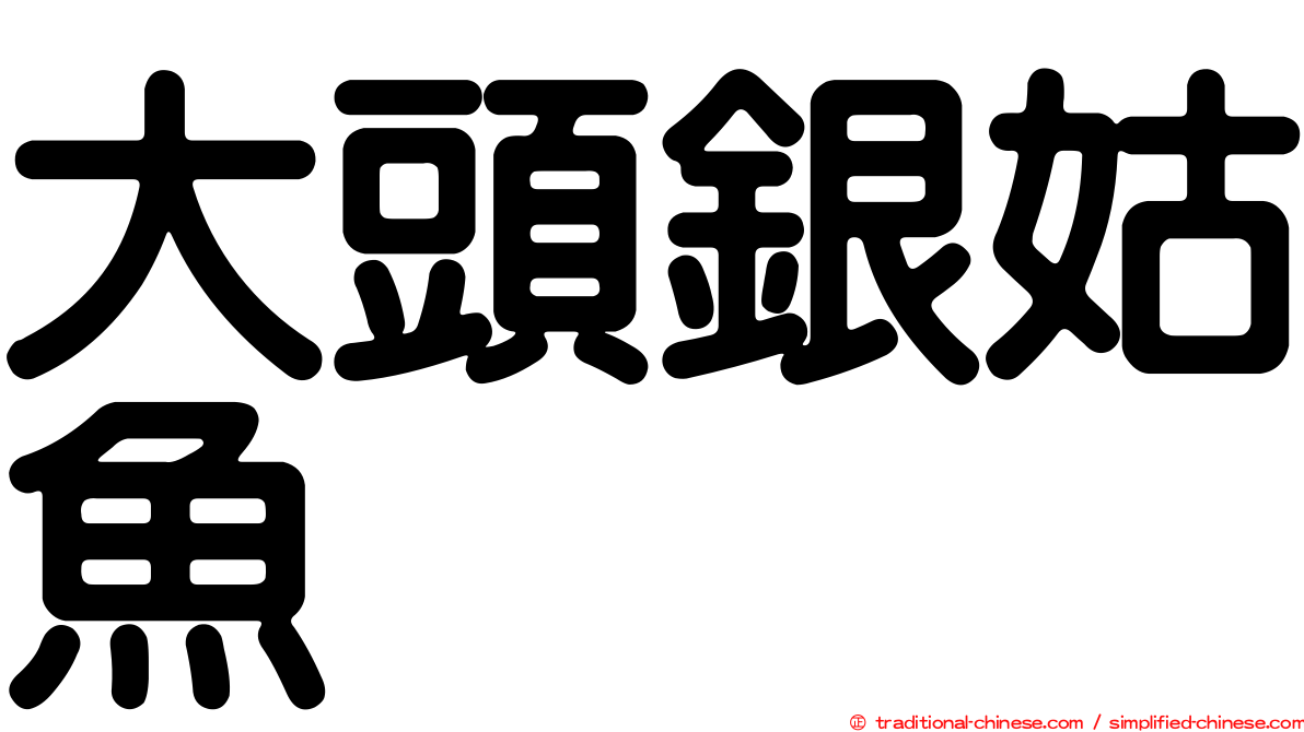 大頭銀姑魚