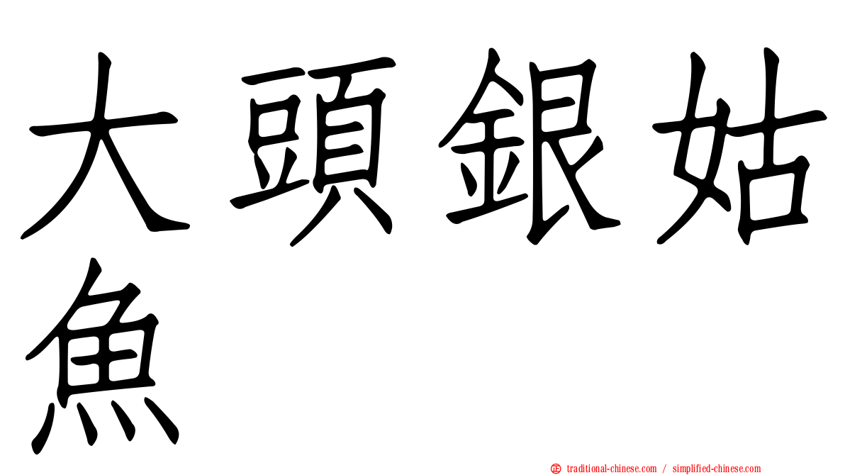 大頭銀姑魚