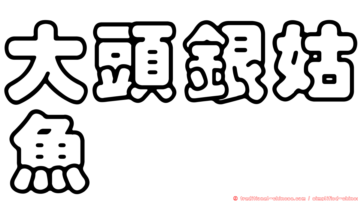 大頭銀姑魚
