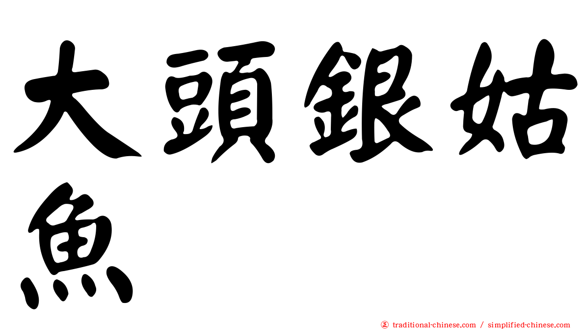 大頭銀姑魚
