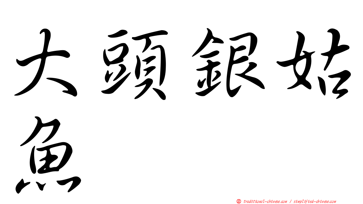 大頭銀姑魚