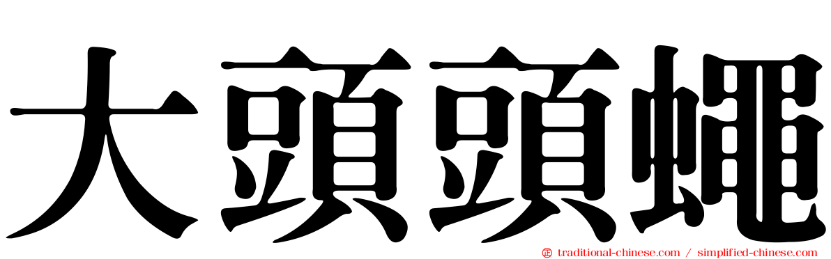 大頭頭蠅