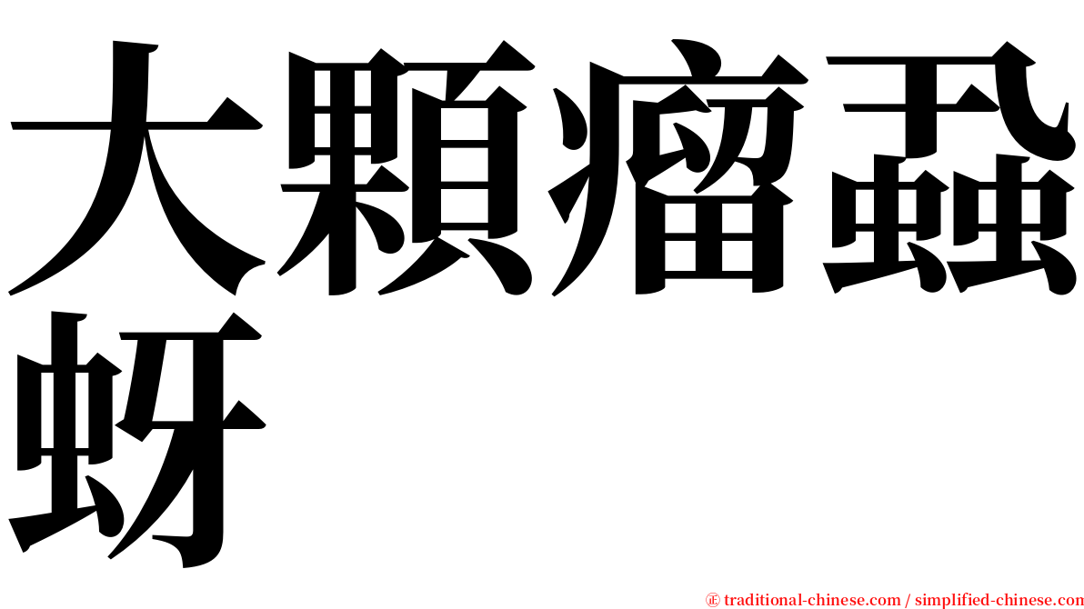 大顆瘤蝨蚜 serif font