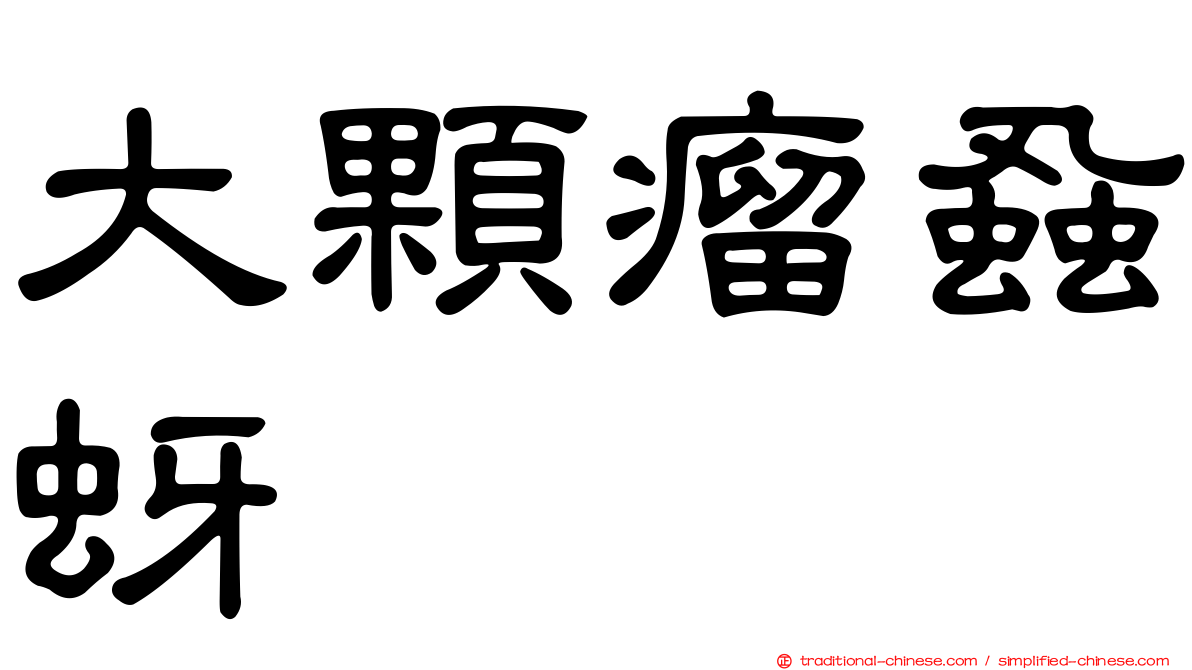 大顆瘤蝨蚜