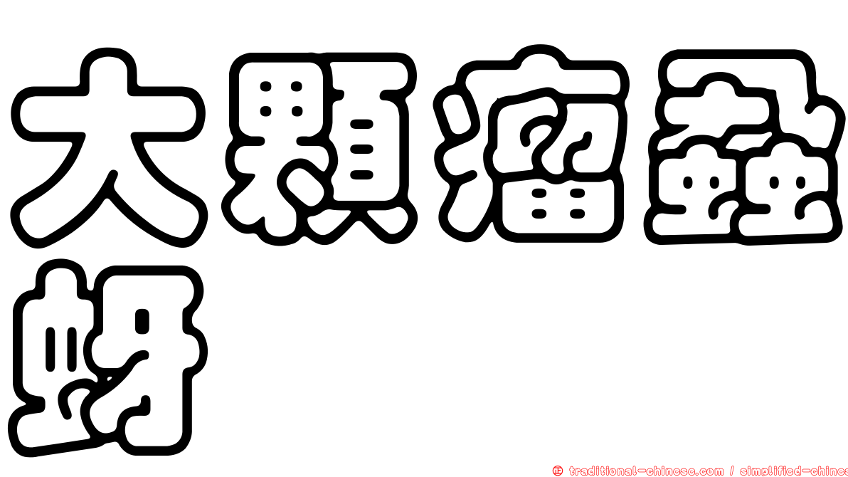 大顆瘤蝨蚜