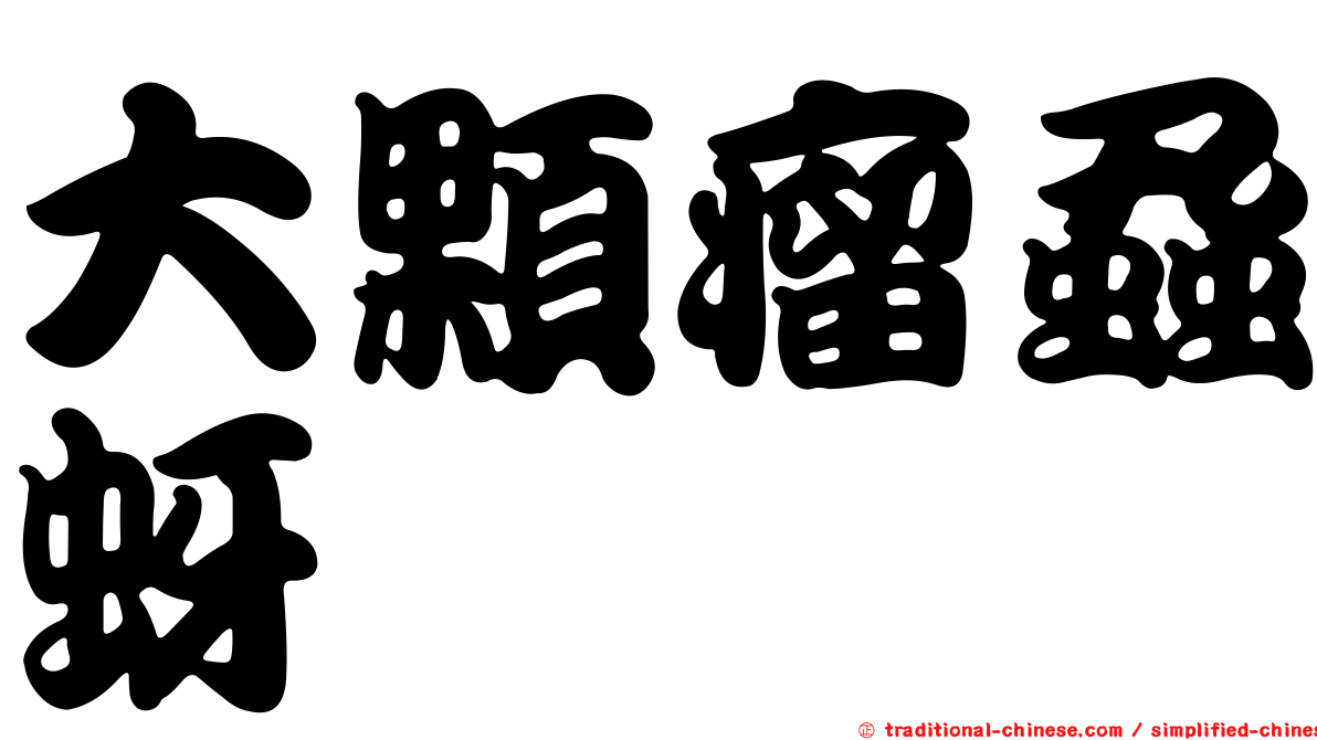 大顆瘤蝨蚜