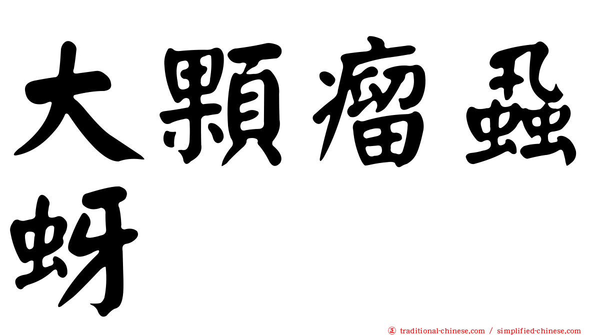 大顆瘤蝨蚜