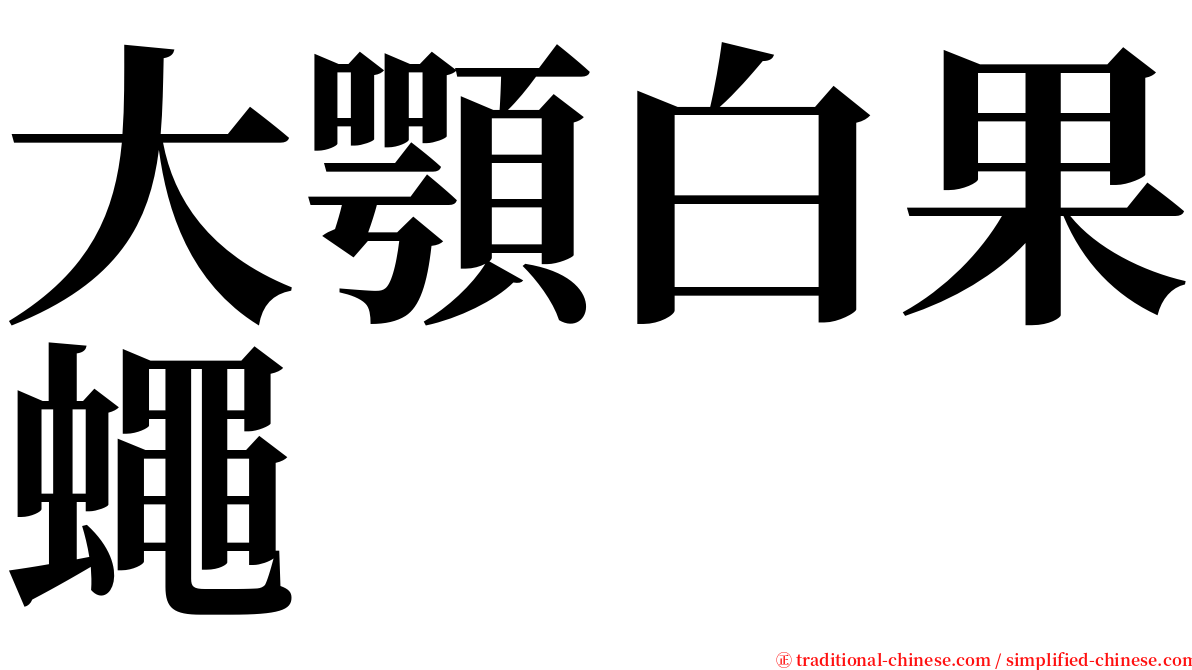 大顎白果蠅 serif font