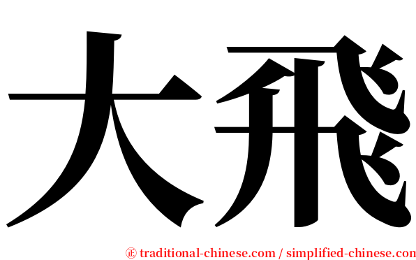 大飛 serif font