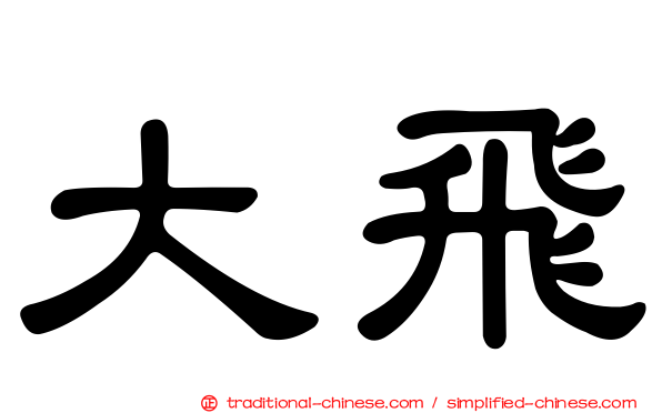 大飛