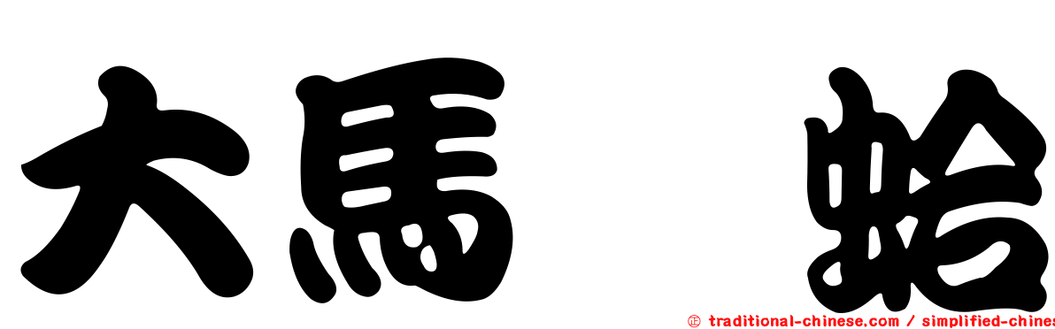 大馬珂蛤