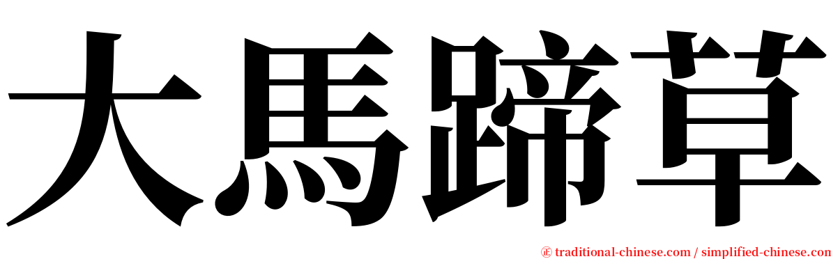 大馬蹄草 serif font