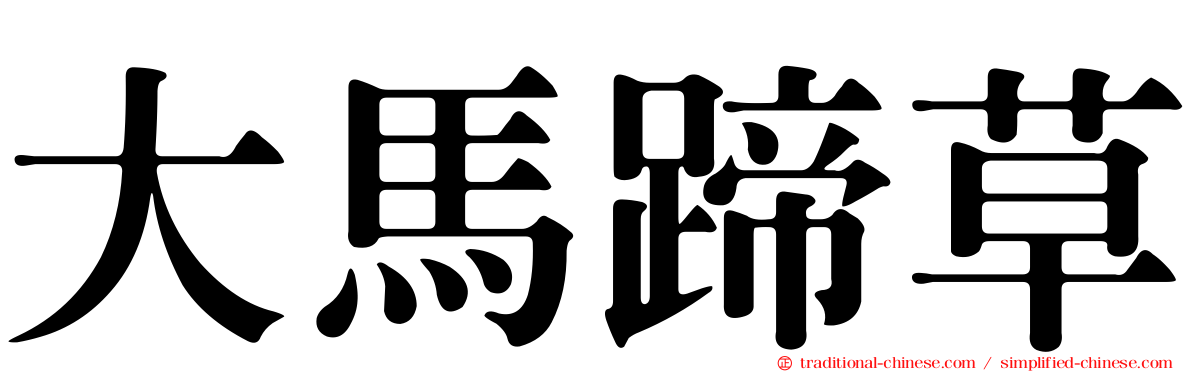大馬蹄草
