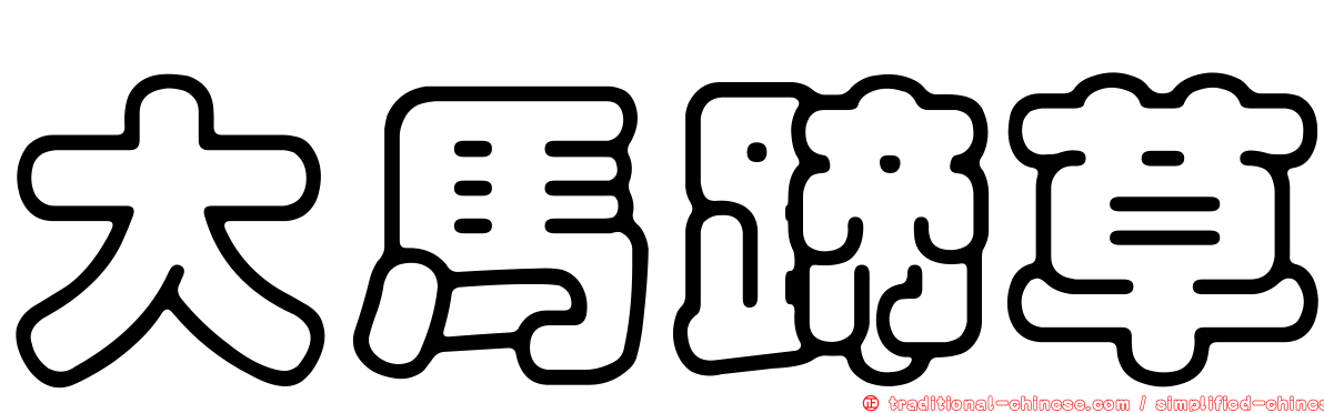 大馬蹄草
