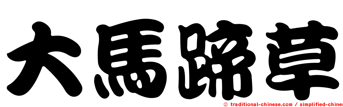 大馬蹄草