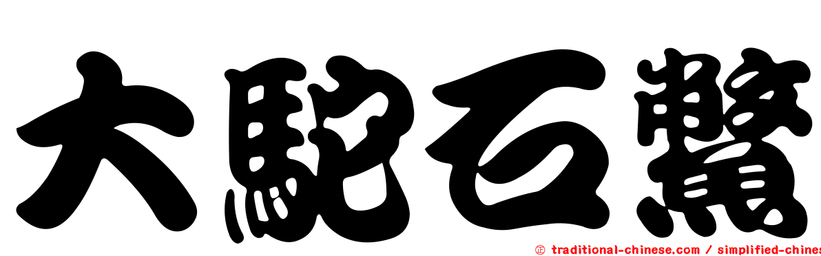 大駝石鱉