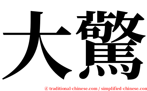 大驚 serif font