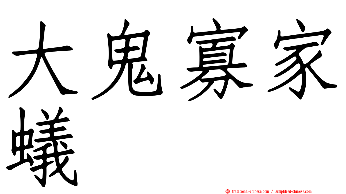 大鬼寡家蟻