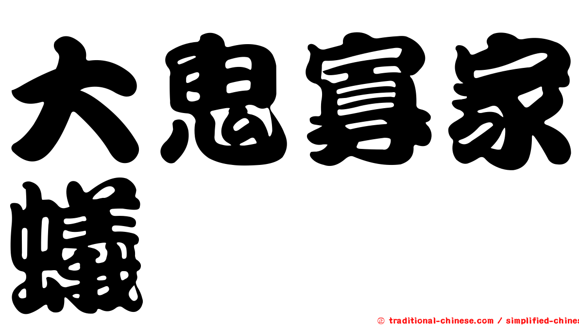 大鬼寡家蟻