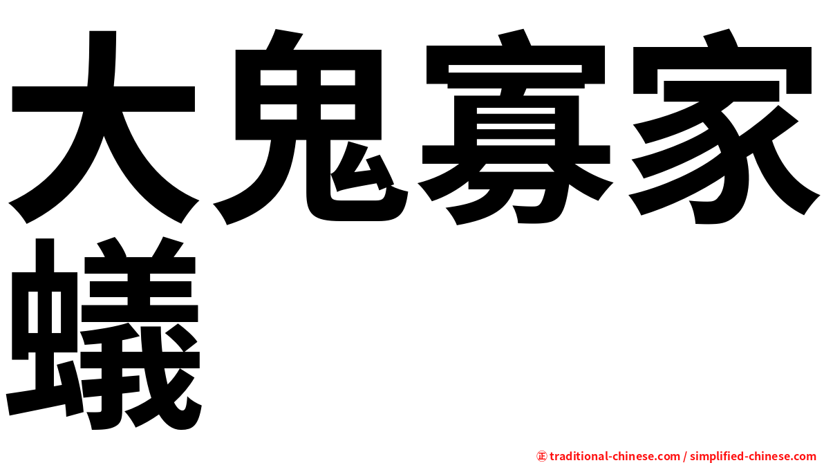 大鬼寡家蟻