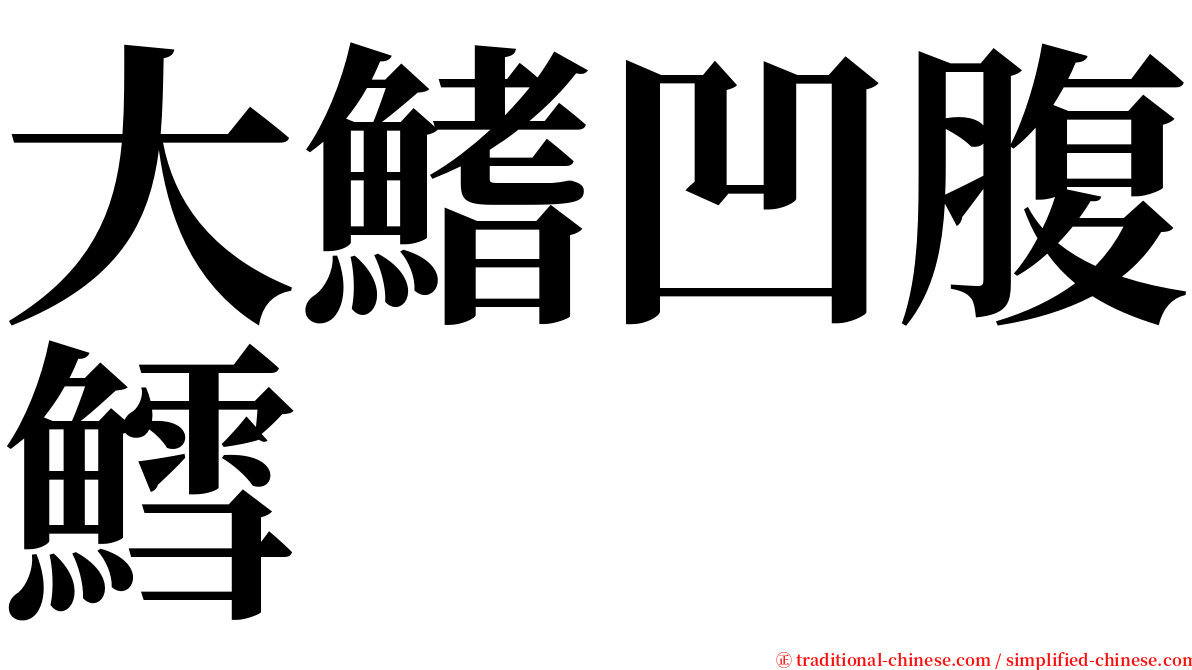 大鰭凹腹鱈 serif font