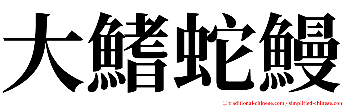 大鰭蛇鰻 serif font