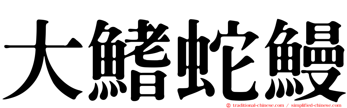 大鰭蛇鰻