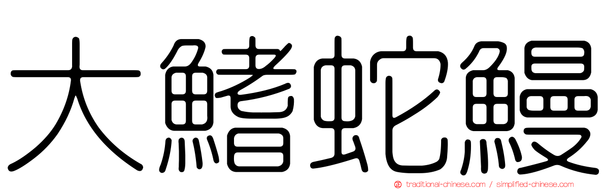 大鰭蛇鰻