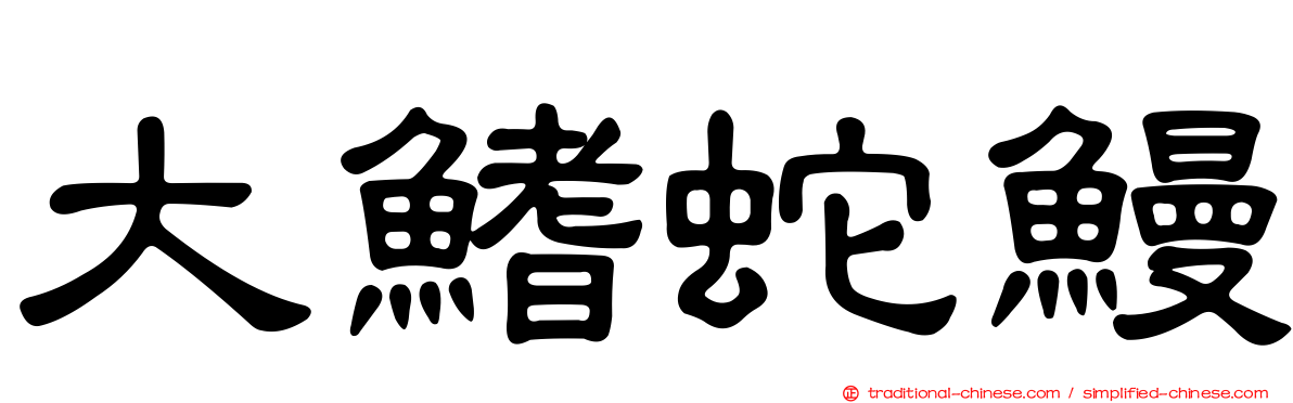 大鰭蛇鰻