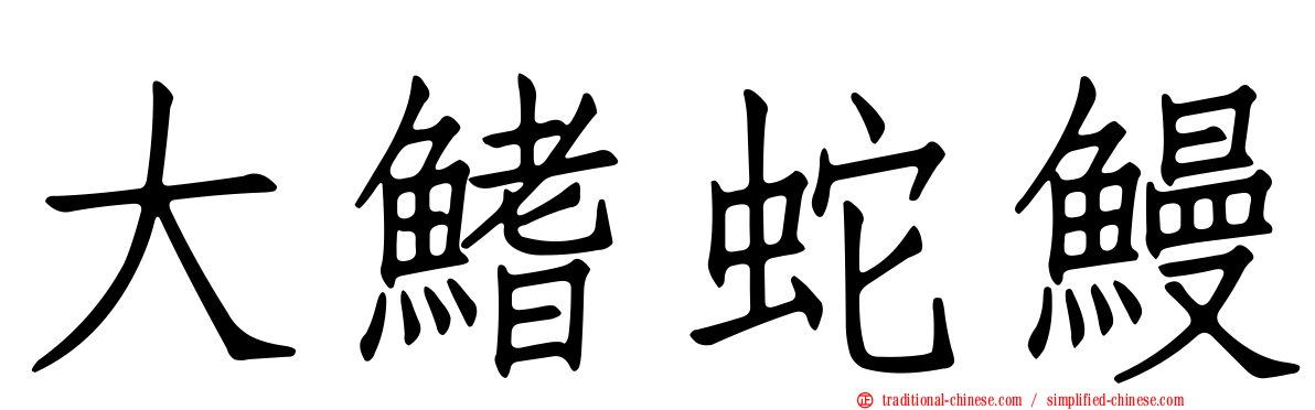 大鰭蛇鰻