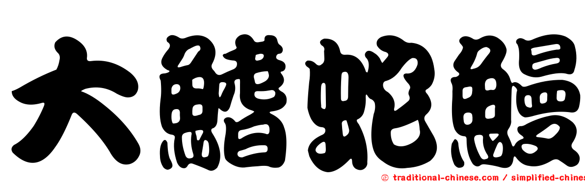 大鰭蛇鰻