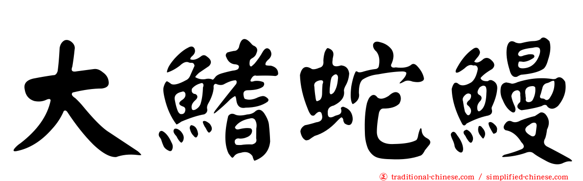 大鰭蛇鰻