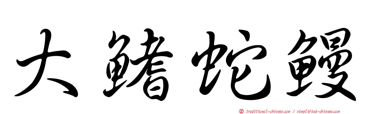 大鰭蛇鰻