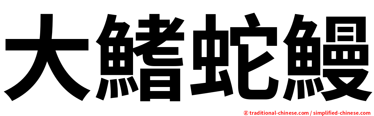 大鰭蛇鰻