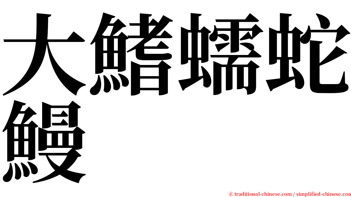 大鰭蠕蛇鰻 serif font