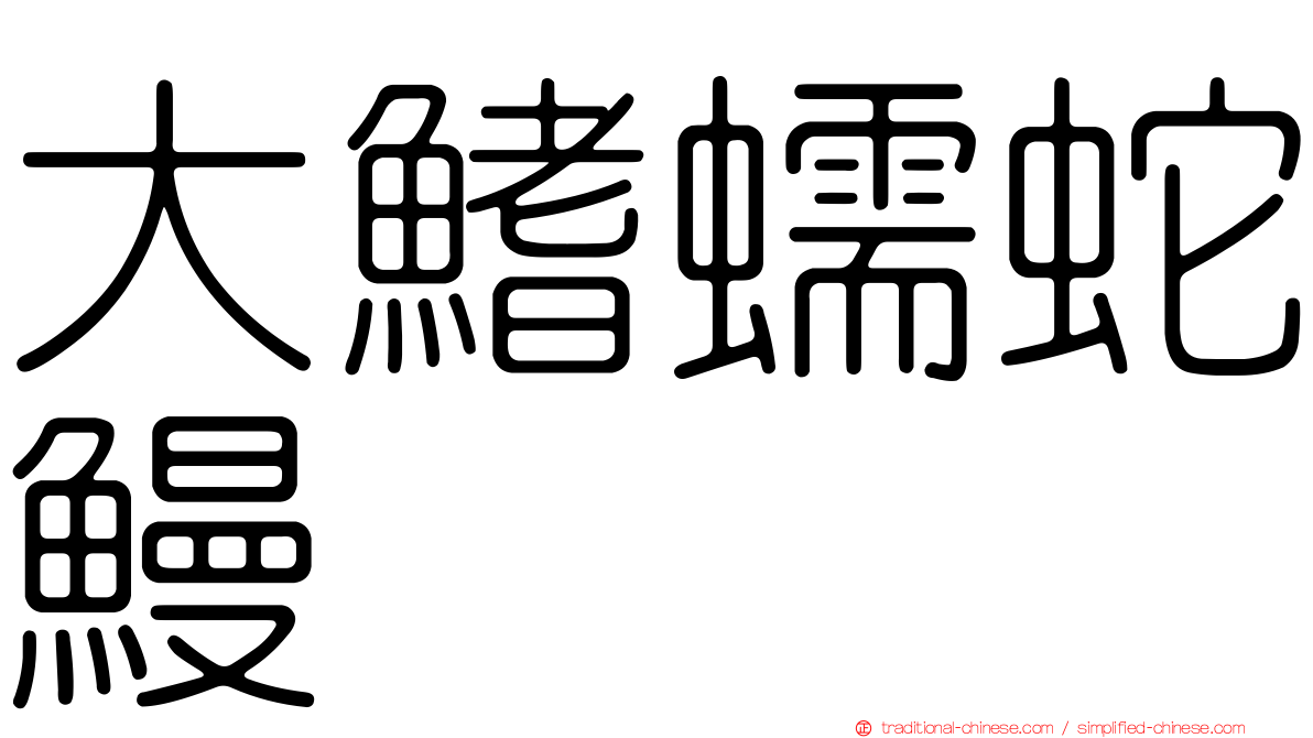 大鰭蠕蛇鰻